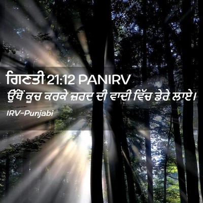 Picture 02 - ਗਿਣਤੀ 21:12 PANIRV - ਉੱਥੋਂ ਕੂਚ ਕਰਕੇ - Bible Verse Picture