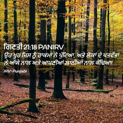 Picture 02 - ਗਿਣਤੀ 21:18 PANIRV - ਉਹ ਖੂਹ ਜਿਸ ਨੂੰ - Bible Verse Picture