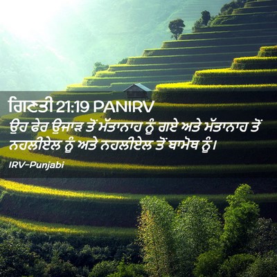Picture 02 - ਗਿਣਤੀ 21:19 PANIRV - ਉਹ ਫੇਰ ਉਜਾੜ ਤੋਂ - Bible Verse Picture