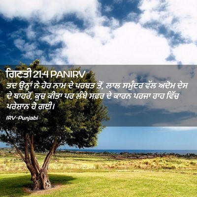 Picture 02 - ਗਿਣਤੀ 21:4 PANIRV - ਤਦ ਉਨ੍ਹਾਂ ਨੇ ਹੋਰ - Bible Verse Picture