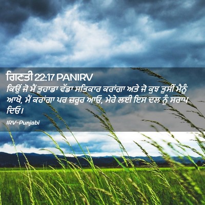 Picture 02 - ਗਿਣਤੀ 22:17 PANIRV - ਕਿਉਂ ਜੋ ਮੈਂ ਤੁਹਾਡਾ - Bible Verse Picture