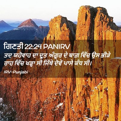 Picture 02 - ਗਿਣਤੀ 22:24 PANIRV - ਤਦ ਯਹੋਵਾਹ ਦਾ ਦੂਤ - Bible Verse Picture