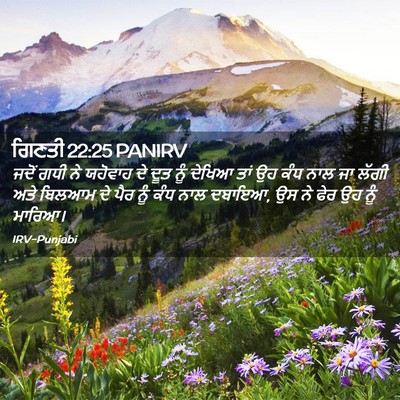 Picture 02 - ਗਿਣਤੀ 22:25 PANIRV - ਜਦੋਂ ਗਧੀ ਨੇ ਯਹੋਵਾਹ - Bible Verse Picture