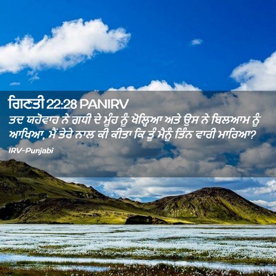 Picture 02 - ਗਿਣਤੀ 22:28 PANIRV - ਤਦ ਯਹੋਵਾਹ ਨੇ ਗਧੀ ਦੇ - Bible Verse Picture