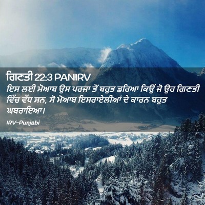 Picture 02 - ਗਿਣਤੀ 22:3 PANIRV - ਇਸ ਲਈ ਮੋਆਬ ਉਸ ਪਰਜਾ - Bible Verse Picture