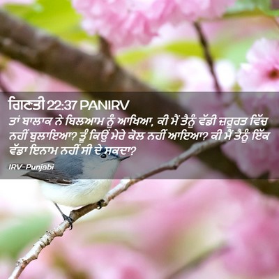 Picture 02 - ਗਿਣਤੀ 22:37 PANIRV - ਤਾਂ ਬਾਲਾਕ ਨੇ ਬਿਲਆਮ - Bible Verse Picture