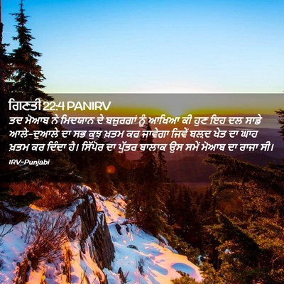 Picture 02 - ਗਿਣਤੀ 22:4 PANIRV - ਤਦ ਮੋਆਬ ਨੇ ਮਿਦਯਾਨ - Bible Verse Picture
