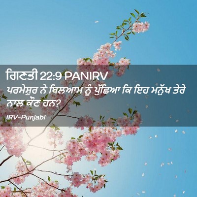 Picture 02 - ਗਿਣਤੀ 22:9 PANIRV - ਪਰਮੇਸ਼ੁਰ ਨੇ ਬਿਲਆਮ - Bible Verse Picture