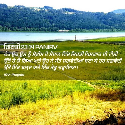 Picture 02 - ਗਿਣਤੀ 23:14 PANIRV - ਫੇਰ ਉਹ ਉਸ ਨੂੰ - Bible Verse Picture