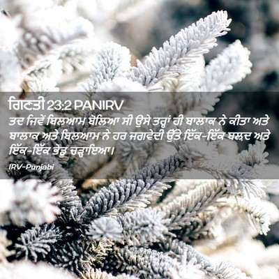 Picture 02 - ਗਿਣਤੀ 23:2 PANIRV - ਤਦ ਜਿਵੇਂ ਬਿਲਆਮ - Bible Verse Picture