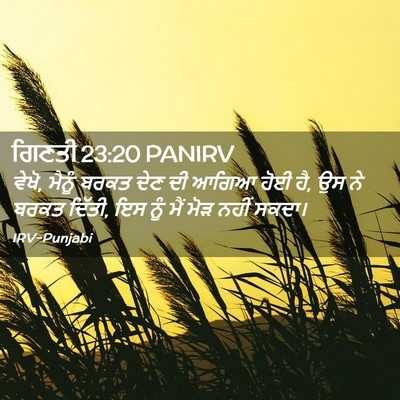 Picture 02 - ਗਿਣਤੀ 23:20 PANIRV - ਵੇਖੋ, ਮੈਨੂੰ ਬਰਕਤ - Bible Verse Picture