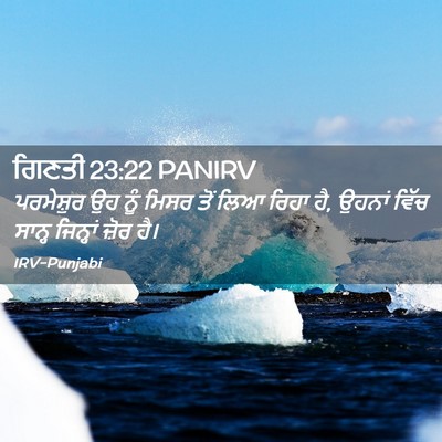 Picture 02 - ਗਿਣਤੀ 23:22 PANIRV - ਪਰਮੇਸ਼ੁਰ ਉਹ ਨੂੰ - Bible Verse Picture