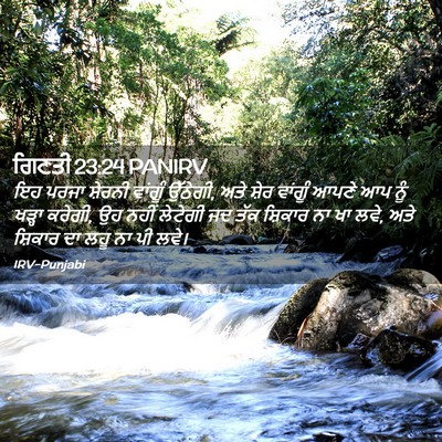 Picture 02 - ਗਿਣਤੀ 23:24 PANIRV - ਇਹ ਪਰਜਾ ਸ਼ੇਰਨੀ - Bible Verse Picture