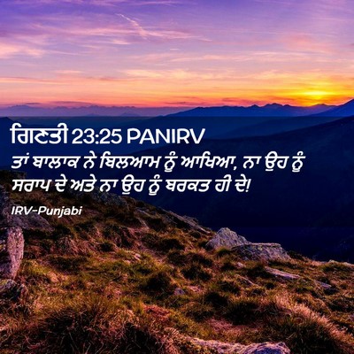 Picture 02 - ਗਿਣਤੀ 23:25 PANIRV - ਤਾਂ ਬਾਲਾਕ ਨੇ ਬਿਲਆਮ - Bible Verse Picture