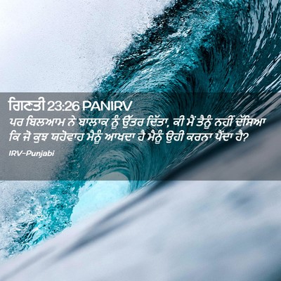 Picture 02 - ਗਿਣਤੀ 23:26 PANIRV - ਪਰ ਬਿਲਆਮ ਨੇ ਬਾਲਾਕ - Bible Verse Picture