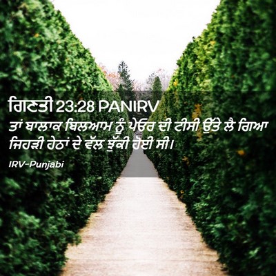 Picture 02 - ਗਿਣਤੀ 23:28 PANIRV - ਤਾਂ ਬਾਲਾਕ ਬਿਲਆਮ - Bible Verse Picture