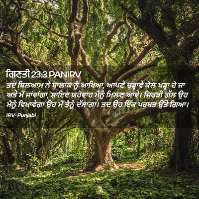 Picture 02 - ਗਿਣਤੀ 23:3 PANIRV - ਤਦ ਬਿਲਆਮ ਨੇ ਬਾਲਾਕ - Bible Verse Picture