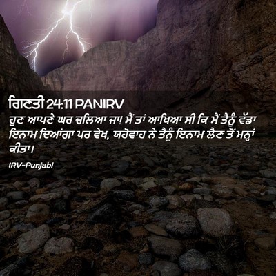 Picture 02 - ਗਿਣਤੀ 24:11 PANIRV - ਹੁਣ ਆਪਣੇ ਘਰ ਚਲਿਆ - Bible Verse Picture