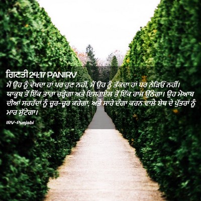 Picture 02 - ਗਿਣਤੀ 24:17 PANIRV - ਮੈਂ ਉਹ ਨੂੰ ਵੇਖਦਾ - Bible Verse Picture