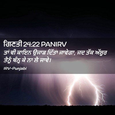 Picture 02 - ਗਿਣਤੀ 24:22 PANIRV - ਤਾਂ ਵੀ ਕਾਇਨ ਉਜਾੜ - Bible Verse Picture