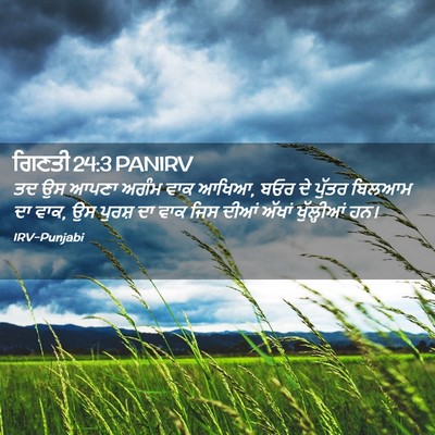 Picture 02 - ਗਿਣਤੀ 24:3 PANIRV - ਤਦ ਉਸ ਆਪਣਾ ਅਗੰਮ ਵਾਕ - Bible Verse Picture