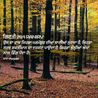 Picture 02 - ਗਿਣਤੀ 24:4 PANIRV - ਉਸ ਦਾ ਵਾਕ ਜਿਹੜਾ - Bible Verse Picture
