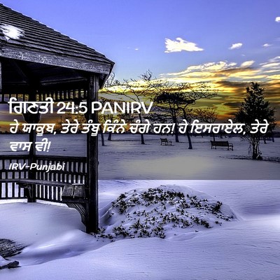 Picture 02 - ਗਿਣਤੀ 24:5 PANIRV - ਹੇ ਯਾਕੂਬ, ਤੇਰੇ ਤੰਬੂ - Bible Verse Picture