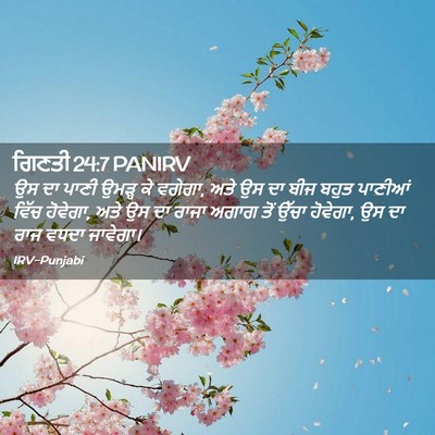 Picture 02 - ਗਿਣਤੀ 24:7 PANIRV - ਉਸ ਦਾ ਪਾਣੀ ਉਮੜ੍ਹ ਕੇ - Bible Verse Picture