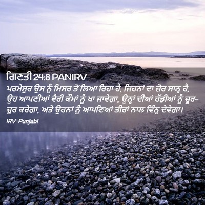 Picture 02 - ਗਿਣਤੀ 24:8 PANIRV - ਪਰਮੇਸ਼ੁਰ ਉਸ ਨੂੰ - Bible Verse Picture