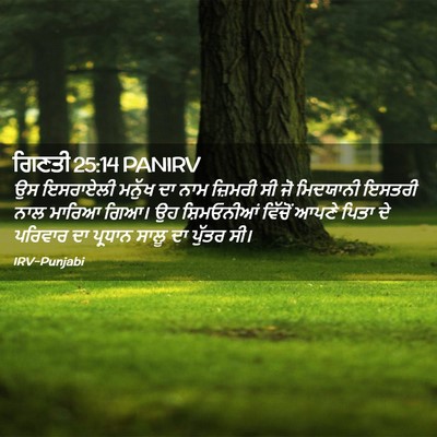 Picture 02 - ਗਿਣਤੀ 25:14 PANIRV - ਉਸ ਇਸਰਾਏਲੀ ਮਨੁੱਖ - Bible Verse Picture