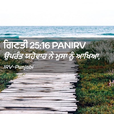 Picture 02 - ਗਿਣਤੀ 25:16 PANIRV - ਉਪਰੰਤ ਯਹੋਵਾਹ ਨੇ - Bible Verse Picture