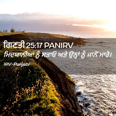 Picture 02 - ਗਿਣਤੀ 25:17 PANIRV - ਮਿਦਯਾਨੀਆਂ ਨੂੰ - Bible Verse Picture
