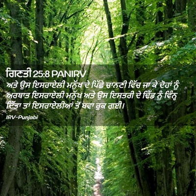 Picture 02 - ਗਿਣਤੀ 25:8 PANIRV - ਅਤੇ ਉਸ ਇਸਰਾਏਲੀ - Bible Verse Picture