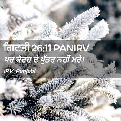Picture 02 - ਗਿਣਤੀ 26:11 PANIRV - ਪਰ ਕੋਰਹ ਦੇ ਪੁੱਤਰ - Bible Verse Picture