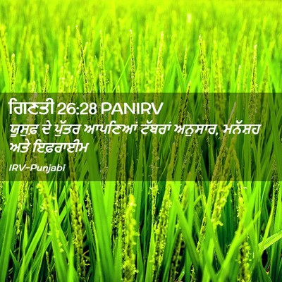 Picture 02 - ਗਿਣਤੀ 26:28 PANIRV - ਯੂਸੁਫ਼ ਦੇ ਪੁੱਤਰ - Bible Verse Picture
