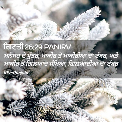 Picture 02 - ਗਿਣਤੀ 26:29 PANIRV - ਮਨੱਸ਼ਹ ਦੇ ਪੁੱਤਰ, - Bible Verse Picture