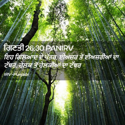 Picture 02 - ਗਿਣਤੀ 26:30 PANIRV - ਇਹ ਗਿਲਆਦ ਦੇ ਪੁੱਤਰ, - Bible Verse Picture