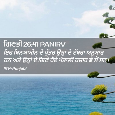 Picture 02 - ਗਿਣਤੀ 26:41 PANIRV - ਇਹ ਬਿਨਯਾਮੀਨ ਦੇ - Bible Verse Picture