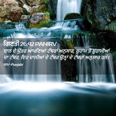 Picture 02 - ਗਿਣਤੀ 26:42 PANIRV - ਦਾਨ ਦੇ ਪੁੱਤਰ - Bible Verse Picture