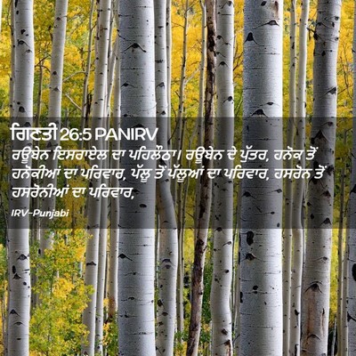 Picture 02 - ਗਿਣਤੀ 26:5 PANIRV - ਰਊਬੇਨ ਇਸਰਾਏਲ ਦਾ - Bible Verse Picture