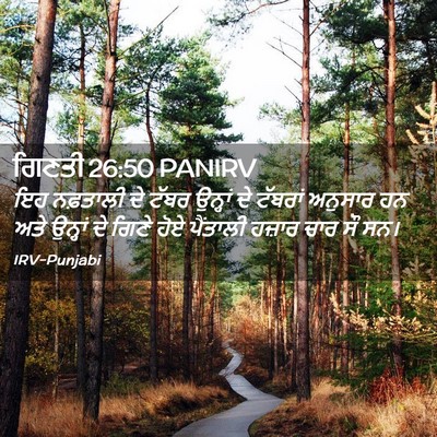 Picture 02 - ਗਿਣਤੀ 26:50 PANIRV - ਇਹ ਨਫ਼ਤਾਲੀ ਦੇ ਟੱਬਰ - Bible Verse Picture