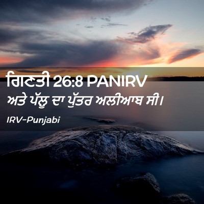 Picture 02 - ਗਿਣਤੀ 26:8 PANIRV - ਅਤੇ ਪੱਲੂ ਦਾ ਪੁੱਤਰ - Bible Verse Picture