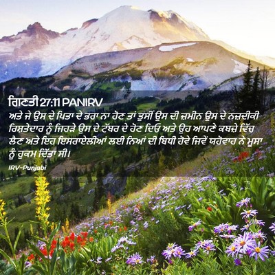 Picture 02 - ਗਿਣਤੀ 27:11 PANIRV - ਅਤੇ ਜੇ ਉਸ ਦੇ ਪਿਤਾ - Bible Verse Picture