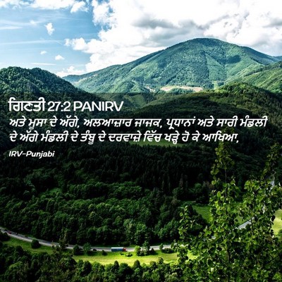 Picture 02 - ਗਿਣਤੀ 27:2 PANIRV - ਅਤੇ ਮੂਸਾ ਦੇ ਅੱਗੇ, - Bible Verse Picture