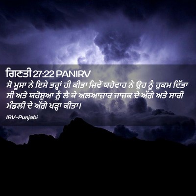 Picture 02 - ਗਿਣਤੀ 27:22 PANIRV - ਸੋ ਮੂਸਾ ਨੇ ਇਸੇ - Bible Verse Picture