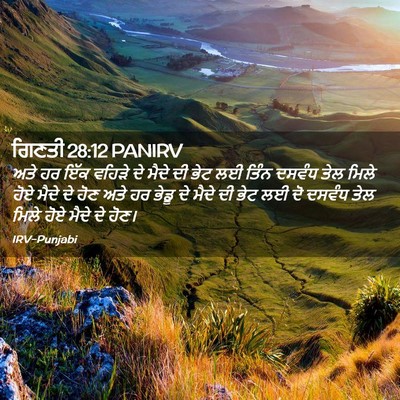 Picture 02 - ਗਿਣਤੀ 28:12 PANIRV - ਅਤੇ ਹਰ ਇੱਕ ਵਹਿੜੇ ਦੇ - Bible Verse Picture