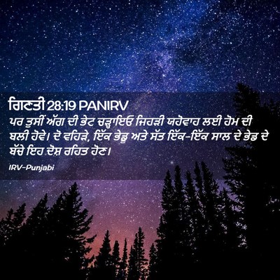 Picture 02 - ਗਿਣਤੀ 28:19 PANIRV - ਪਰ ਤੁਸੀਂ ਅੱਗ ਦੀ ਭੇਟ - Bible Verse Picture