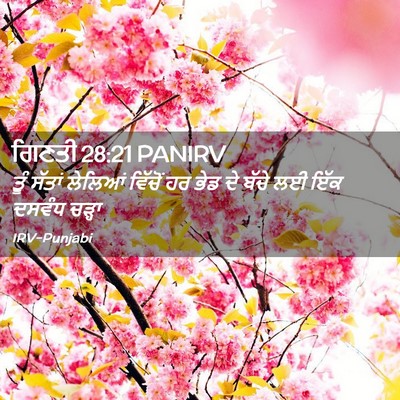 Picture 02 - ਗਿਣਤੀ 28:21 PANIRV - ਤੂੰ ਸੱਤਾਂ ਲੇਲਿਆਂ - Bible Verse Picture