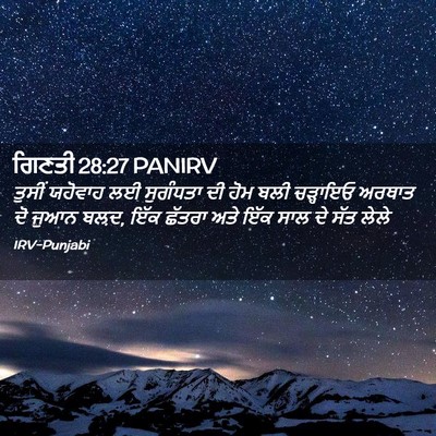 Picture 02 - ਗਿਣਤੀ 28:27 PANIRV - ਤੁਸੀਂ ਯਹੋਵਾਹ ਲਈ - Bible Verse Picture