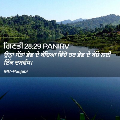 Picture 02 - ਗਿਣਤੀ 28:29 PANIRV - ਉਨ੍ਹਾਂ ਸੱਤਾਂ ਭੇਡ - Bible Verse Picture